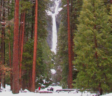 Yosemite Winter Day Tour from San Francisco.JPG